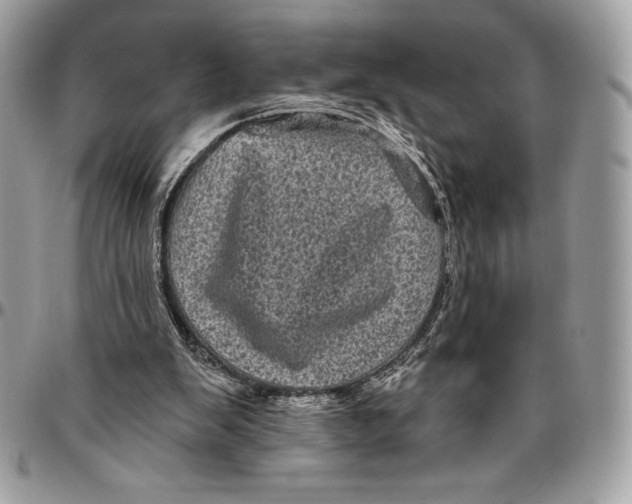 X0000094790103200712071237