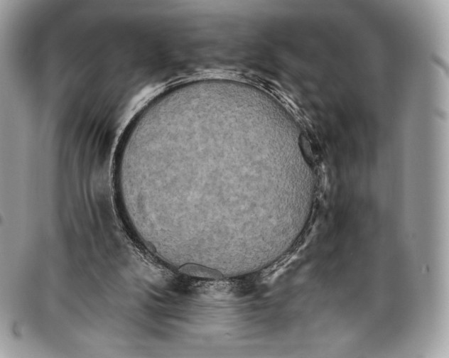 X0000094790104200712071237