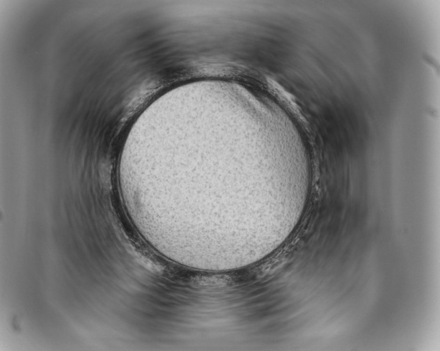 X0000094790106200712071237