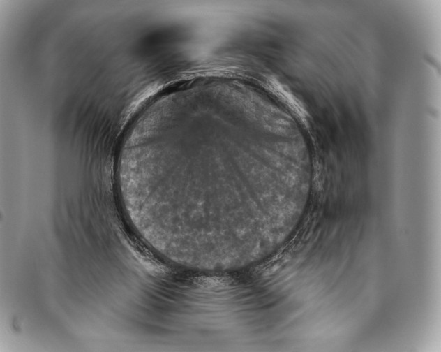 X0000094790107200712071237