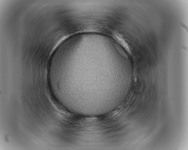 X0000094790108200712071237