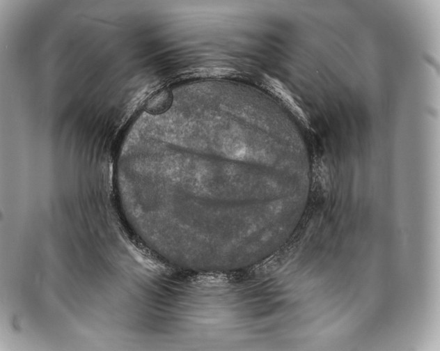 X0000094790110200712071237