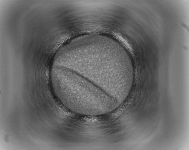 X0000094790113200712071237