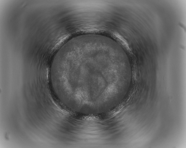 X0000094790115200712071237