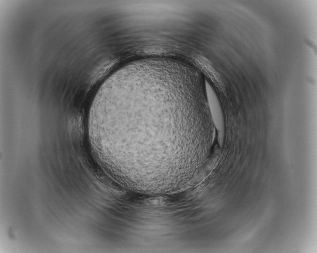 X0000094790116200712071237