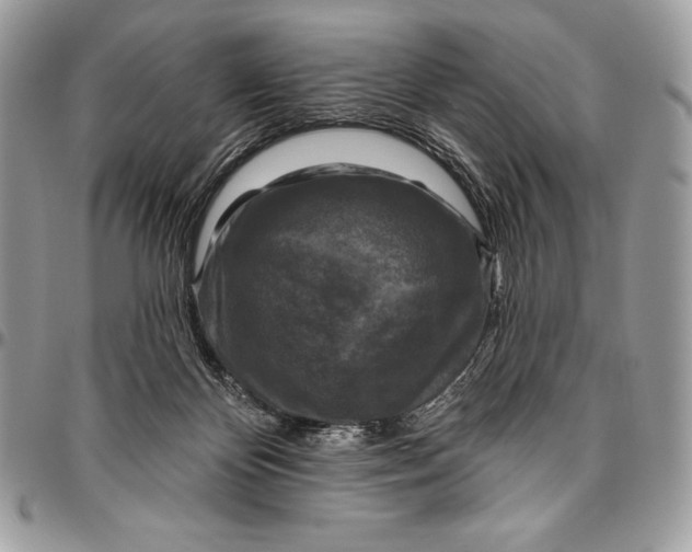 X0000094790124200712071237