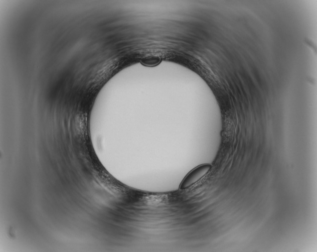 X0000094790126200712071237