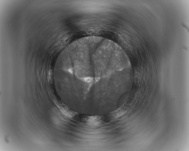 X0000094790130200712071237