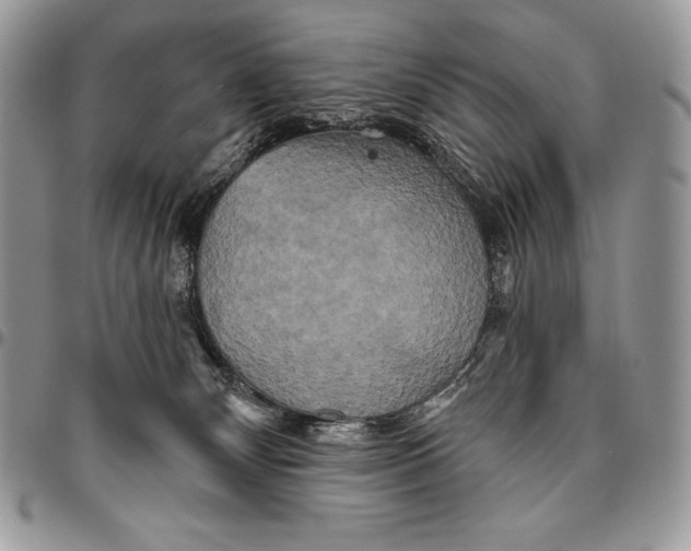 X0000094790132200712071237