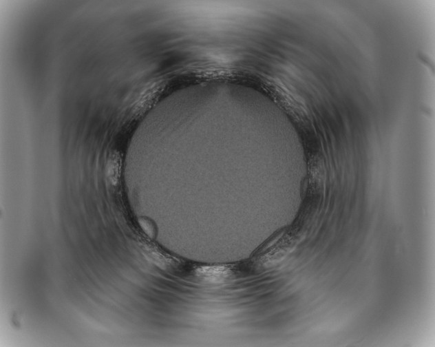 X0000094790133200712071237