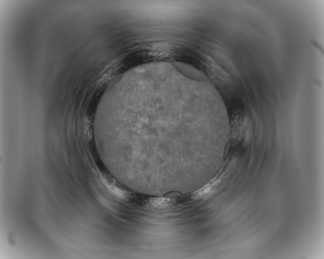 X0000094790136200712071237