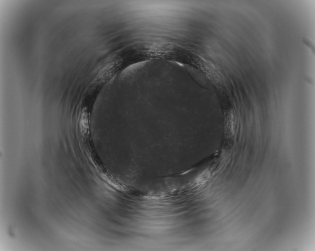 X0000094790137200712071236