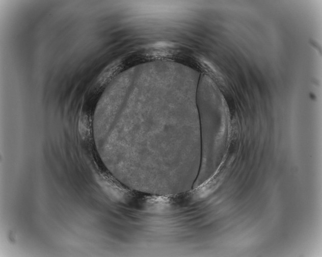 X0000094790140200712071236