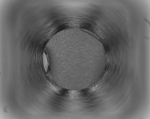 X0000094790141200712071236