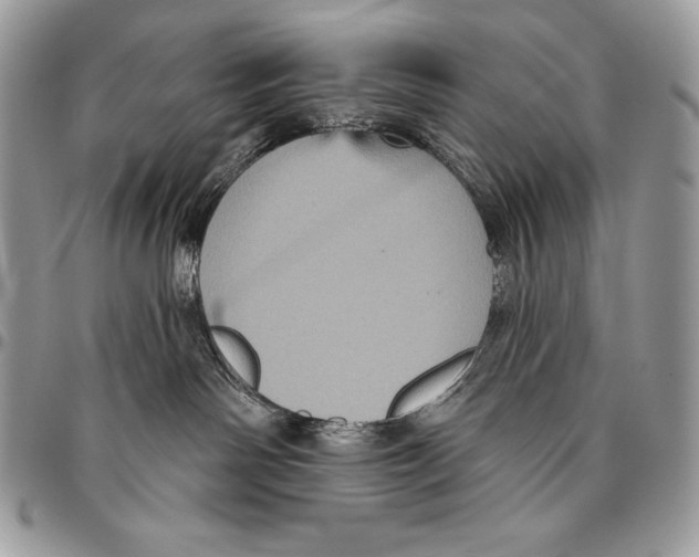 X0000094790142200712071236