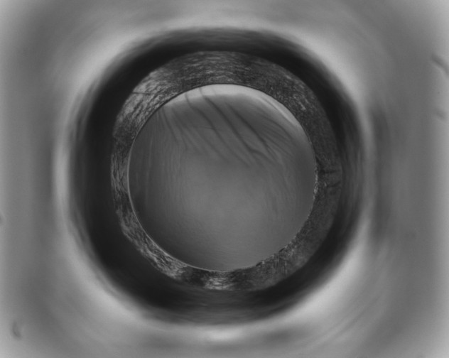 X0000094790143200712071236