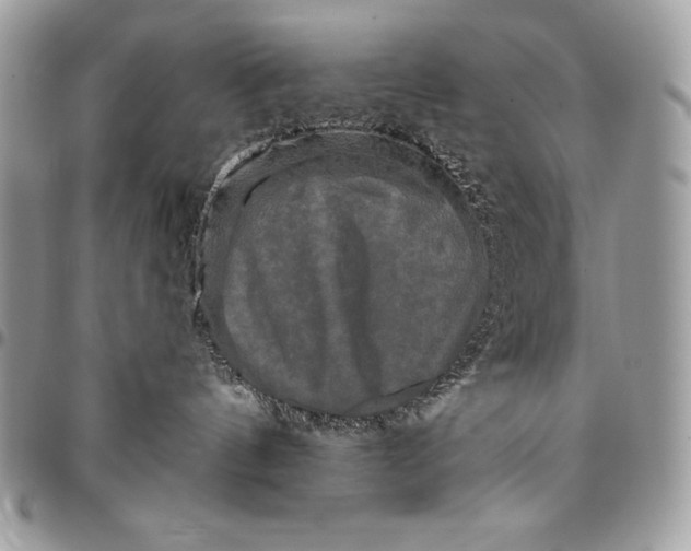 X0000094790144200712071236