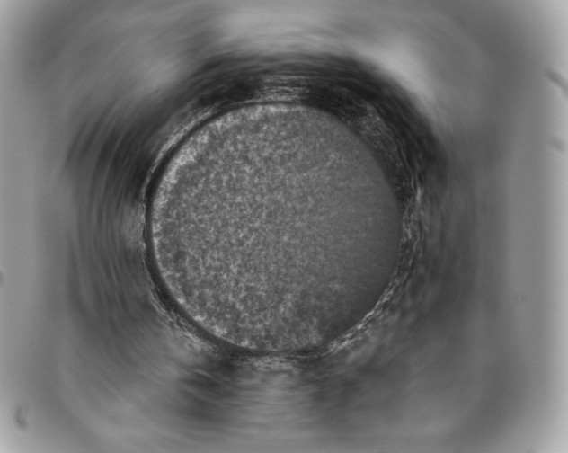 X0000094790146200712071236