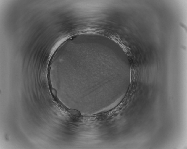 X0000094790147200712071236