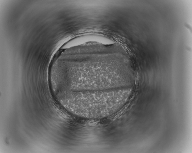 X0000094790148200712071236