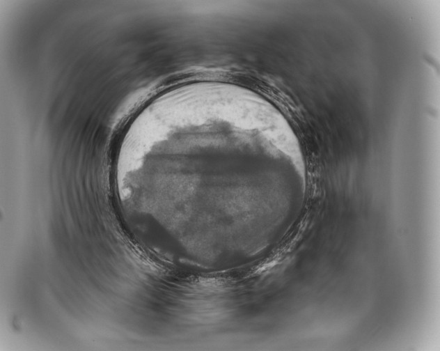 X0000094790149200712071236