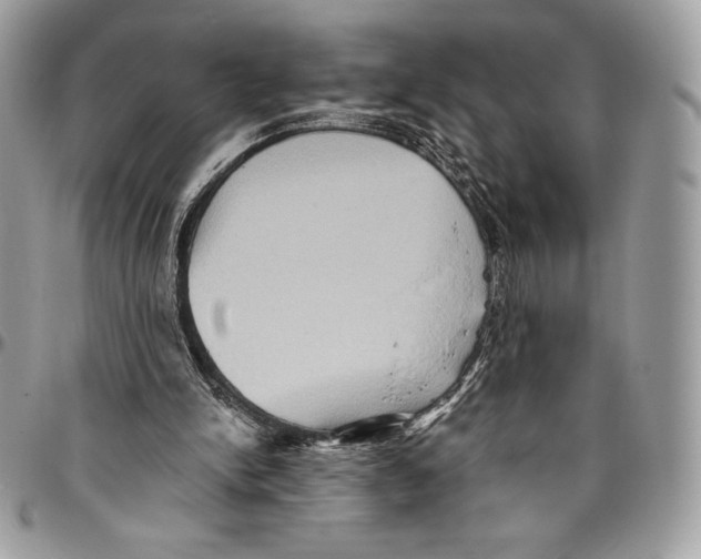 X0000094790150200712071236