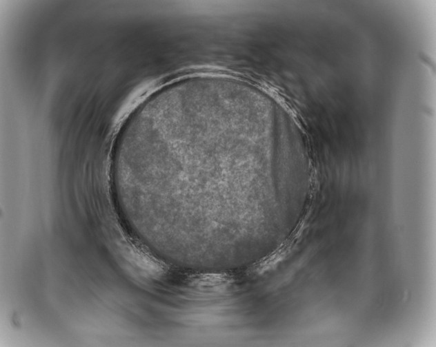 X0000094790151200712071236