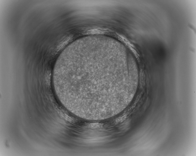 X0000094790153200712071236