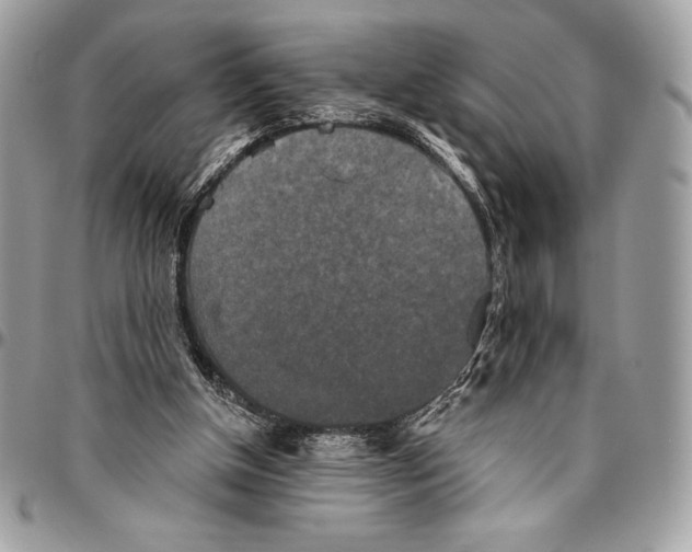 X0000094790154200712071236