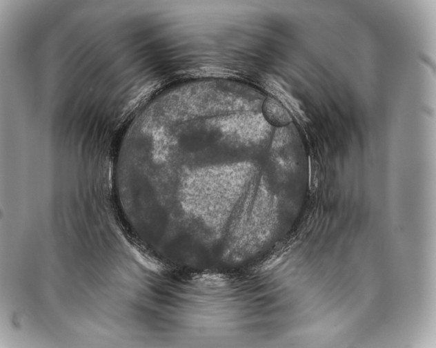 X0000094790157200712071236