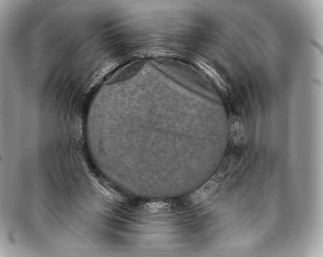 X0000094790158200712071236