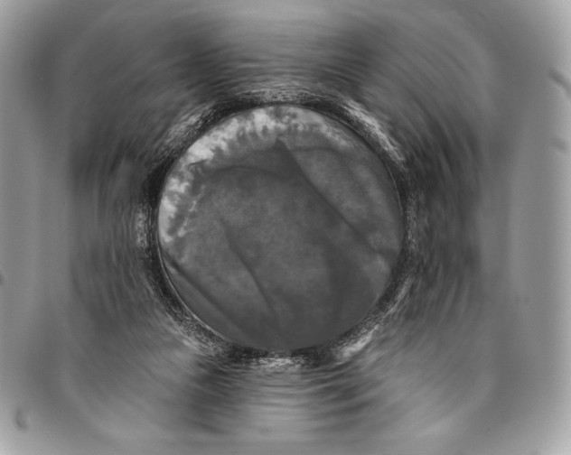 X0000094790161200712071236