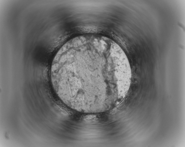 X0000094790162200712071236