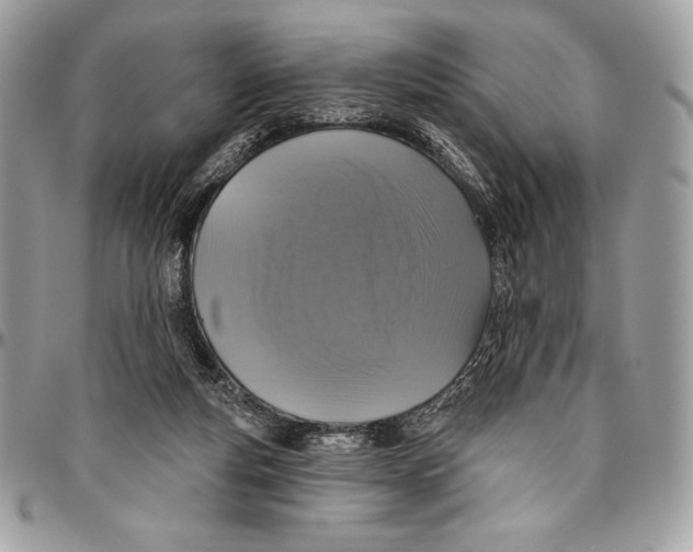 X0000094790163200712071236