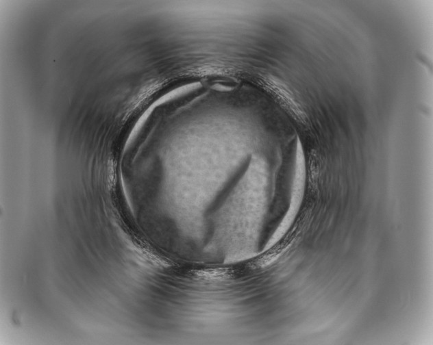 X0000094790164200712071236