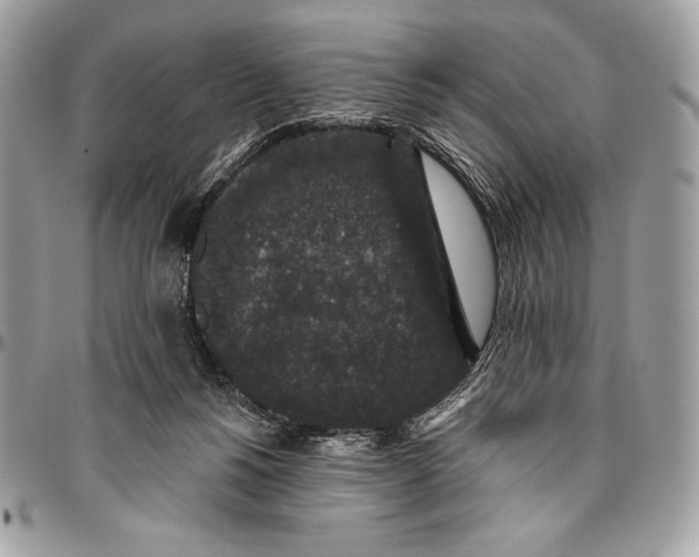 X0000094790168200712071236