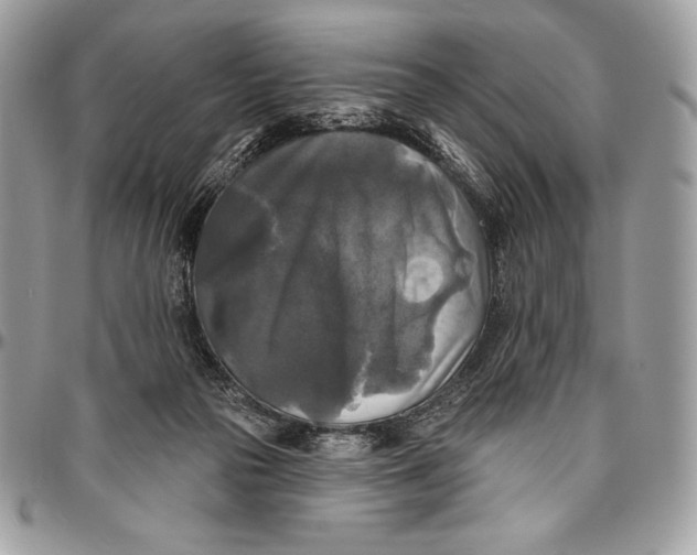 X0000094790169200712071236