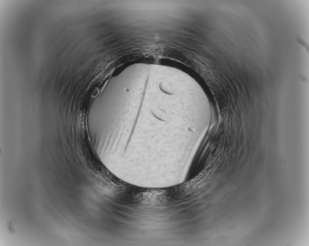 X0000094790172200712071236