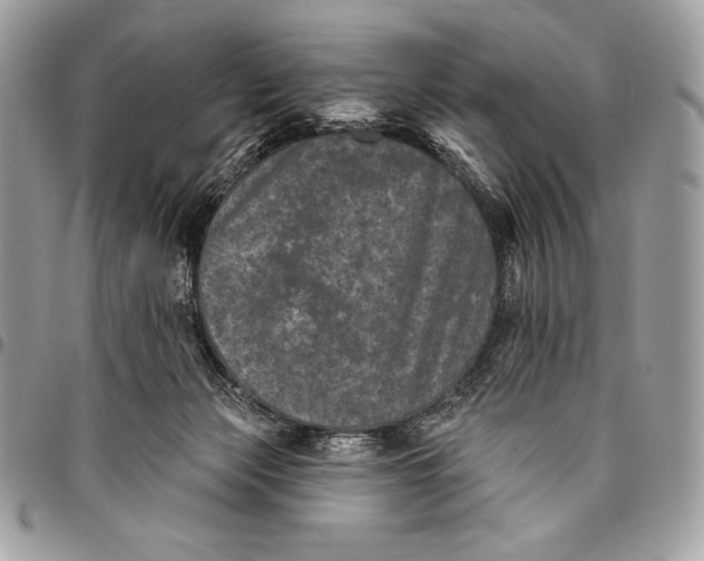 X0000094790173200712071236