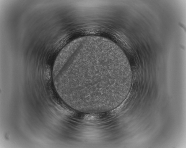 X0000094790174200712071236