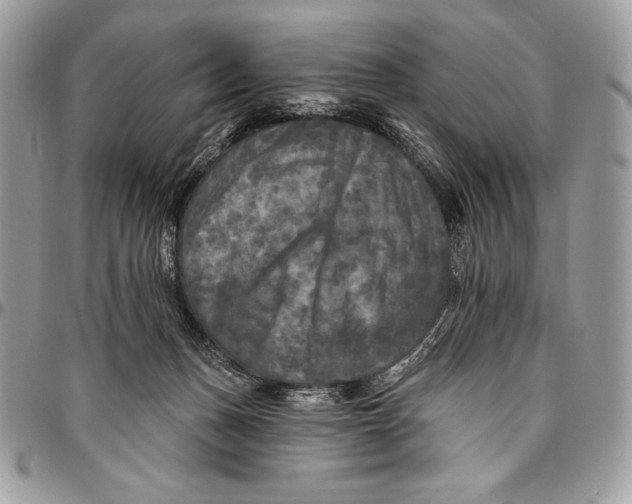 X0000094790175200712071236