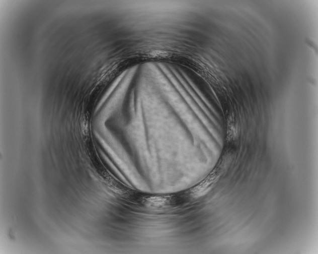 X0000094790176200712071236