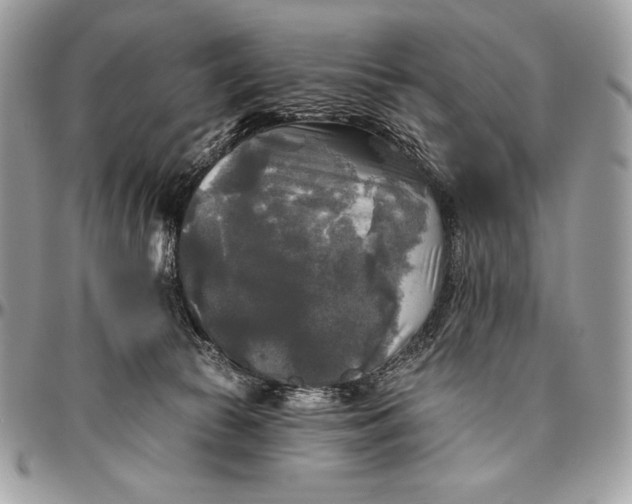 X0000094790177200712071236