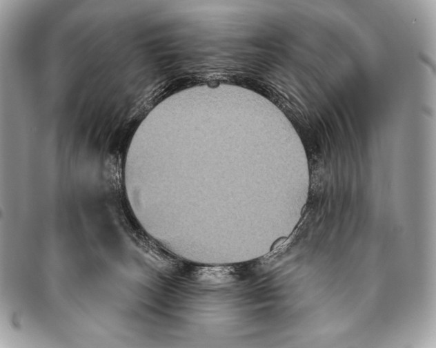 X0000094790179200712071236