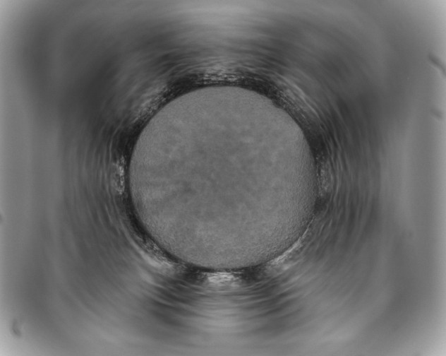 X0000094790183200712071236