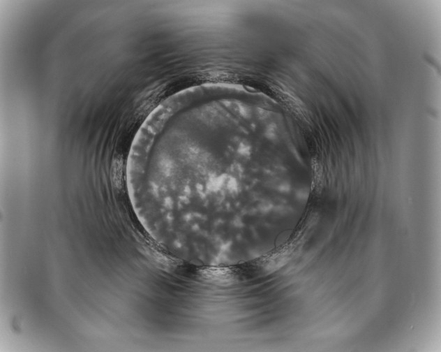 X0000094790189200712071236