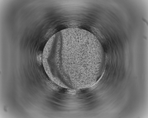 X0000094790190200712071236