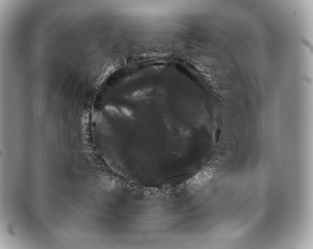 X0000094790192200712071236