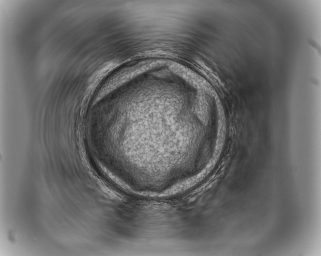 X0000094790193200712071236