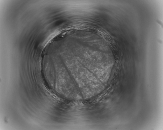 X0000094790194200712071236